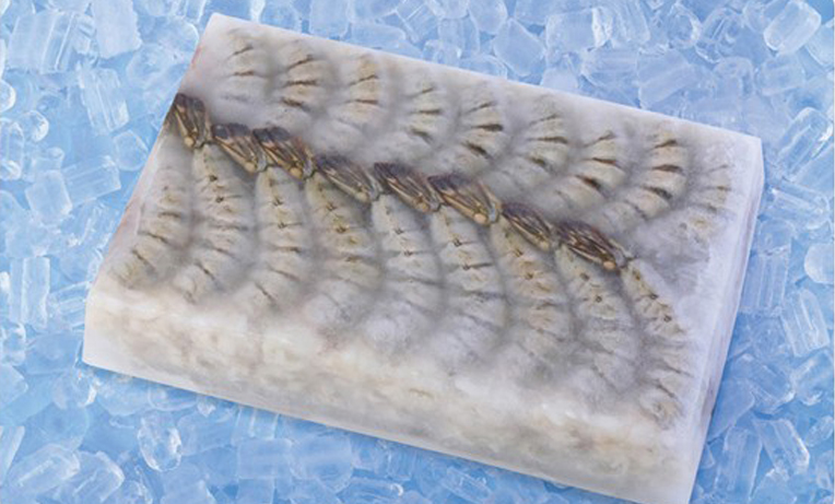 Block Frozen Shrimp